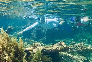 Bohol South Palms Panglao