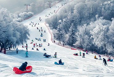 Korea (Winter)